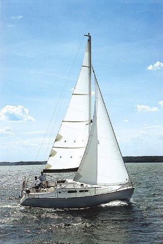  Recorra los mares en una variedad de embarcaciones impresionantes 